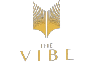 logo the vibe